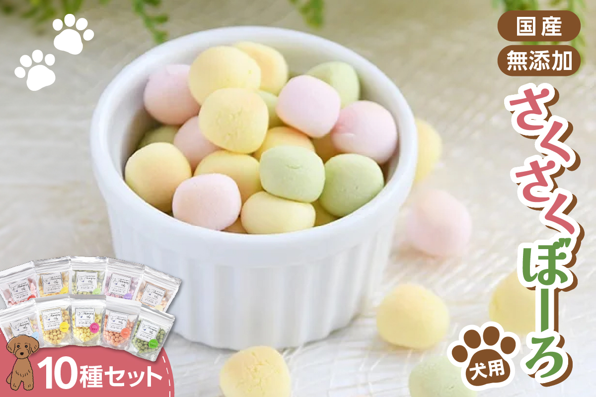 Humming Dog さくさくぼーろ 10個セット
