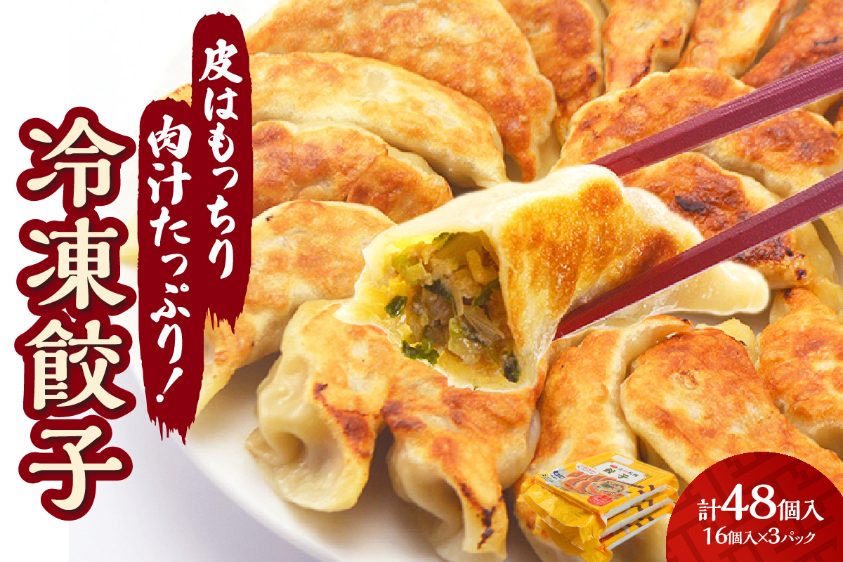 【点心札幌】餃子館の餃子１２個入り×４パック