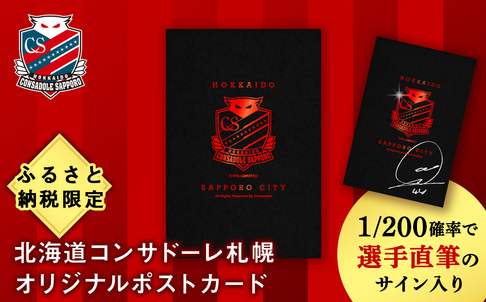 ふるさと納税限定　北海道コンサドーレ札幌　ポストカード 【1/200の確率で選手直筆のサイン入り】