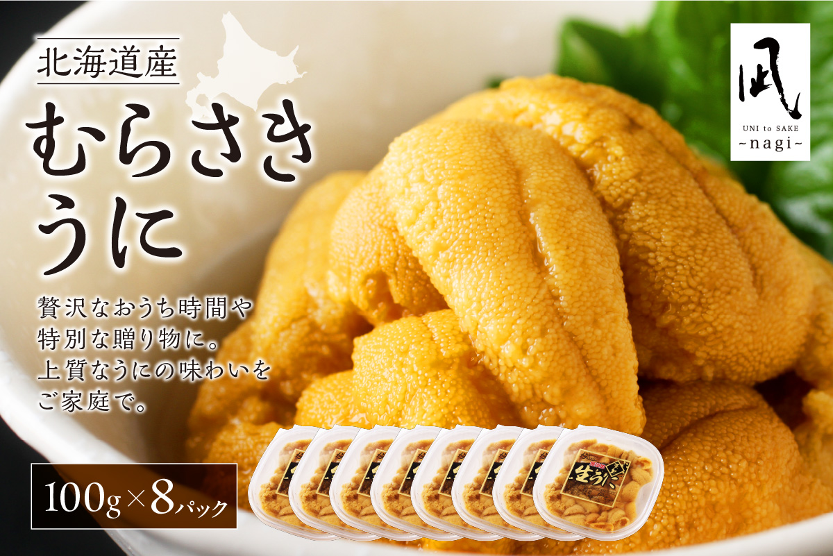 【先行予約】《北海道産》ムラサキウニ 塩水 100g ×8パック＜札幌カネシン水産＞ | ウニ丼 無添加 北海道 札幌市
