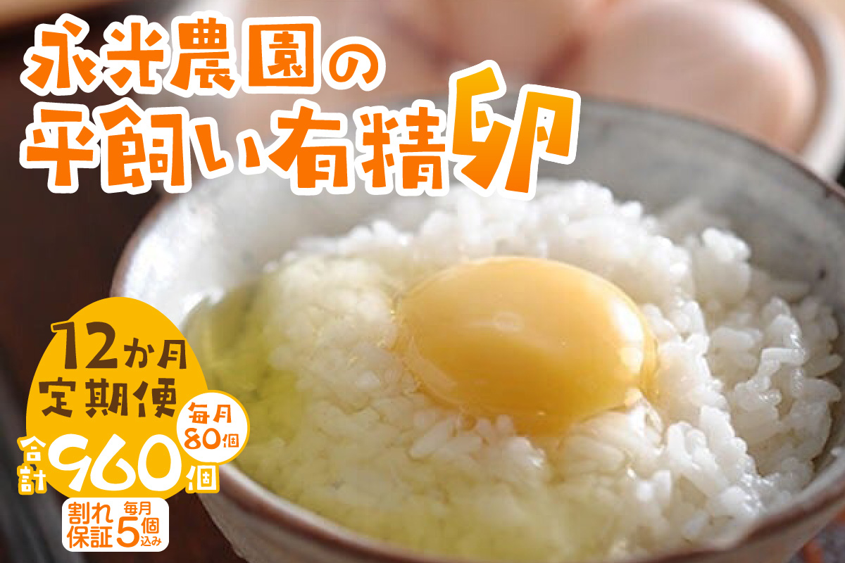 【12か月定期便】永光農園の平飼い有精卵　 75個+割れ保証5個