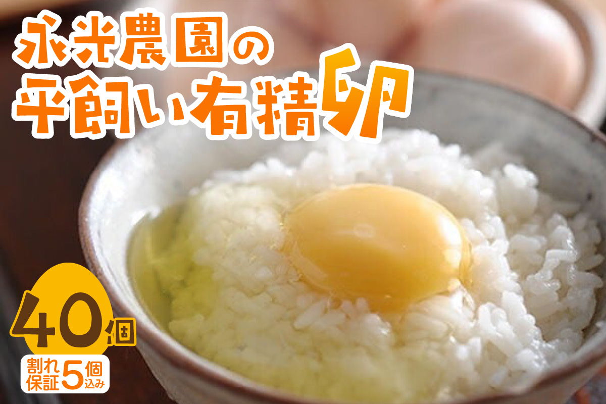 永光農園の平飼い有精卵　35個+割れ保証5個