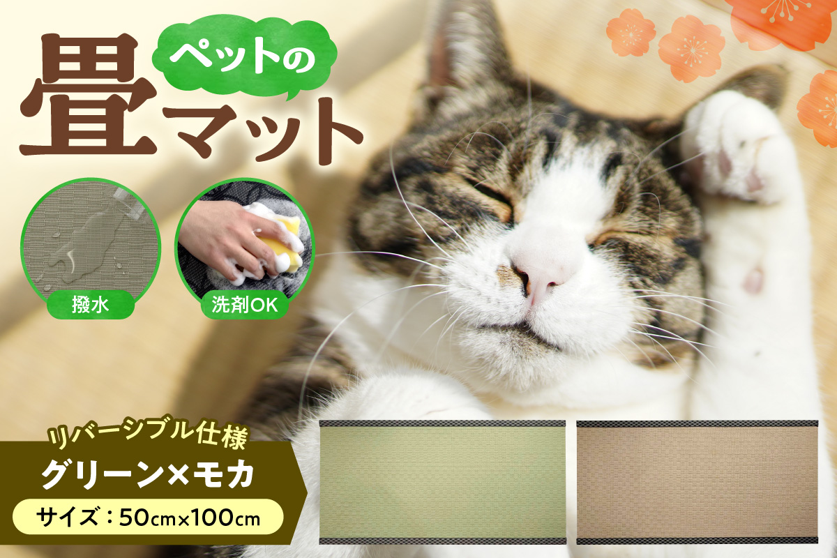 ペットの畳マット　100　グリーン×モカ