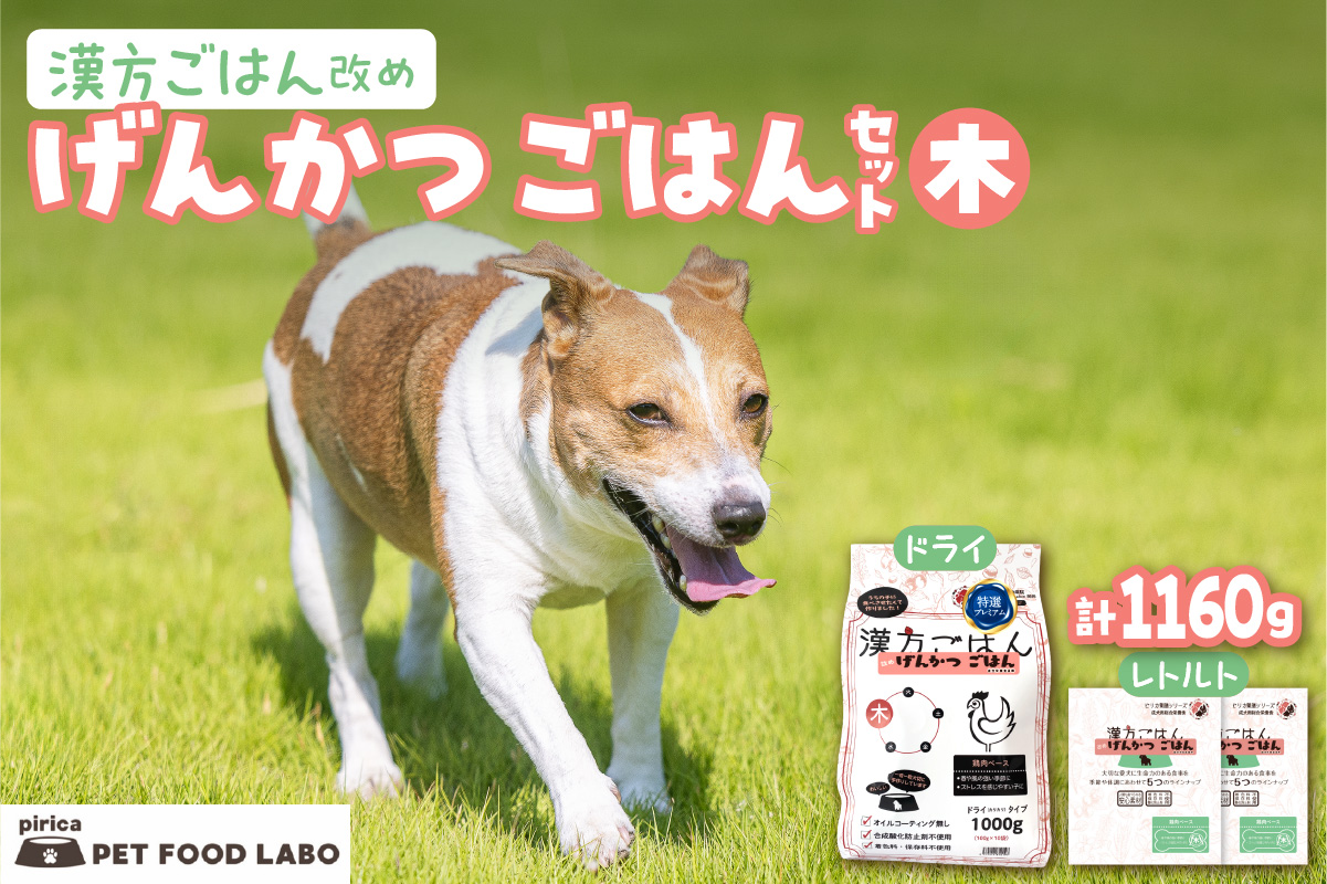 漢方ごはん改めげんかつごはん木（ドライ1000g＋レトルト2個）セット