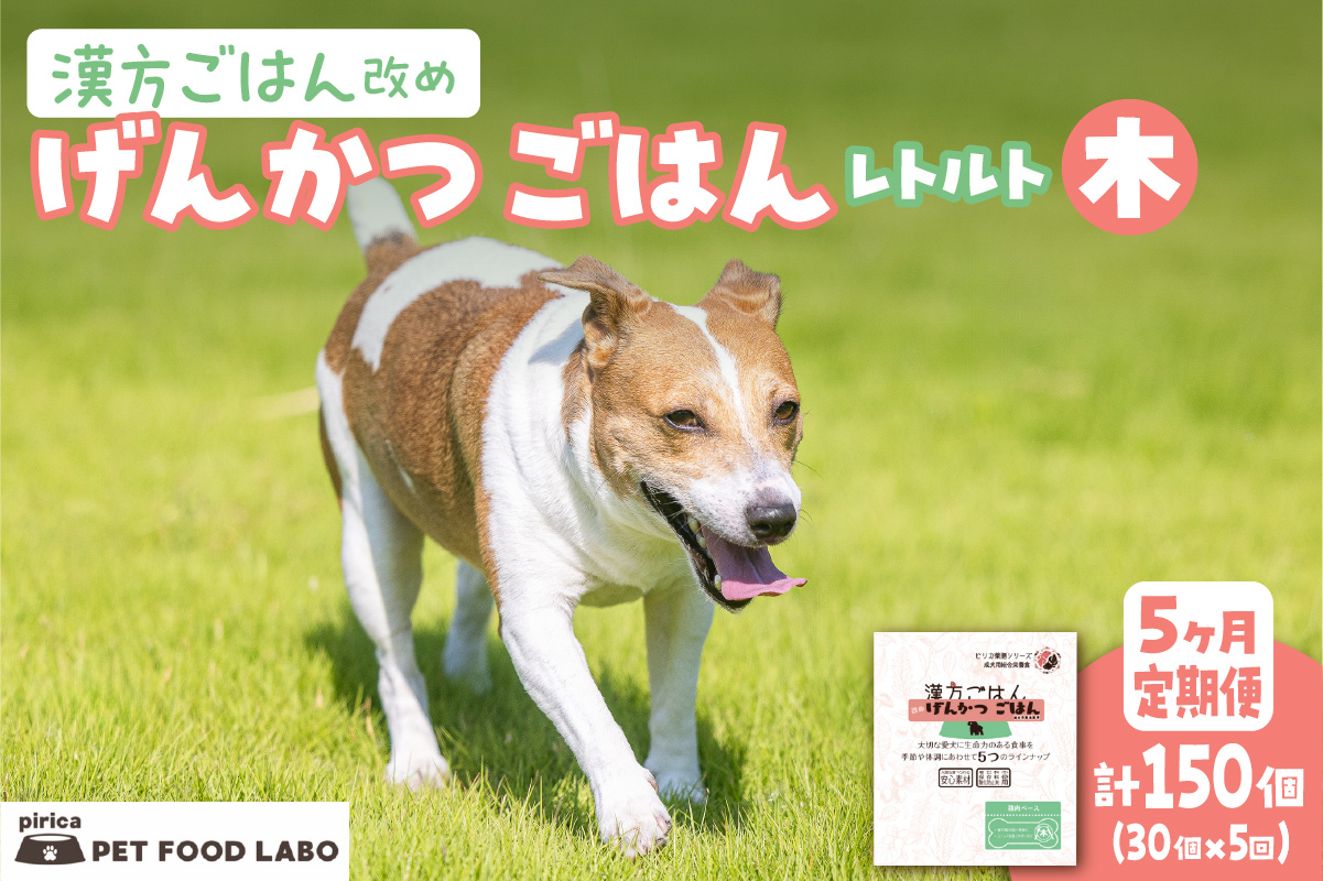 【定期便】漢方ごはん改めげんかつごはんレトルト『木』30個（30個×5回）