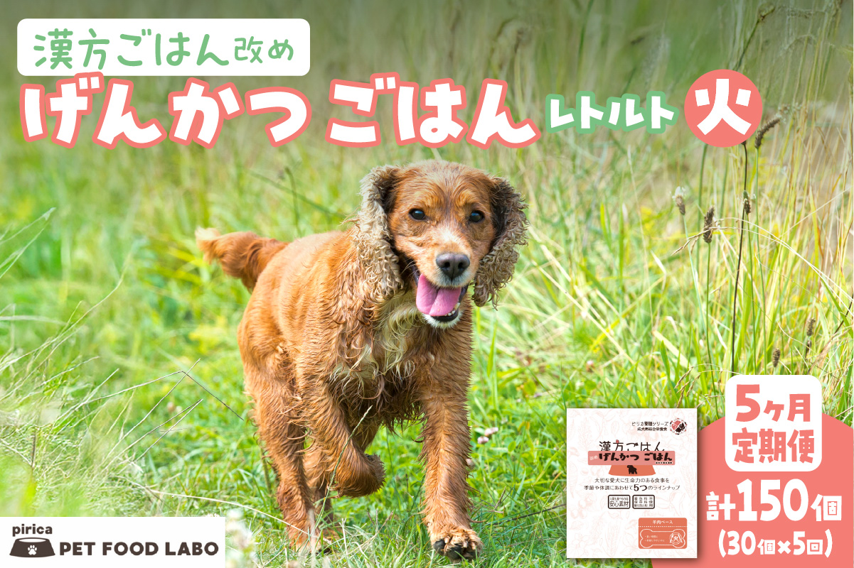 【定期便】漢方ごはん改めげんかつごはんレトルト『火』30個（30個×5回）