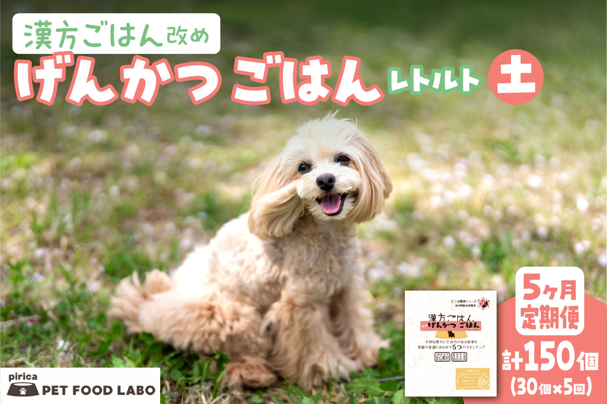 【定期便】漢方ごはん改めげんかつごはんレトルト『土』30個（30個×5回）