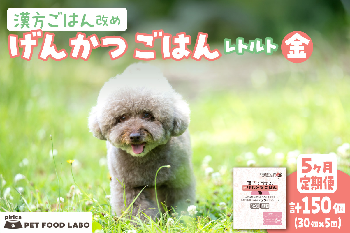 【定期便】漢方ごはん改めげんかつごはんレトルト『金』30個（30個×5回）