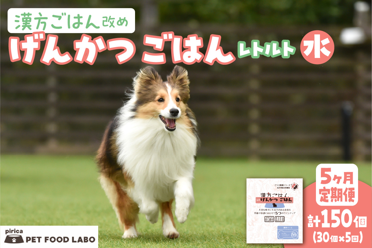 【定期便】漢方ごはん改めげんかつごはんレトルト『水』30個（30個×5回）