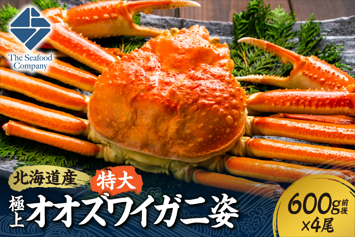 北海道産特大極上オオズワイガニ姿　600g前後×4尾セット