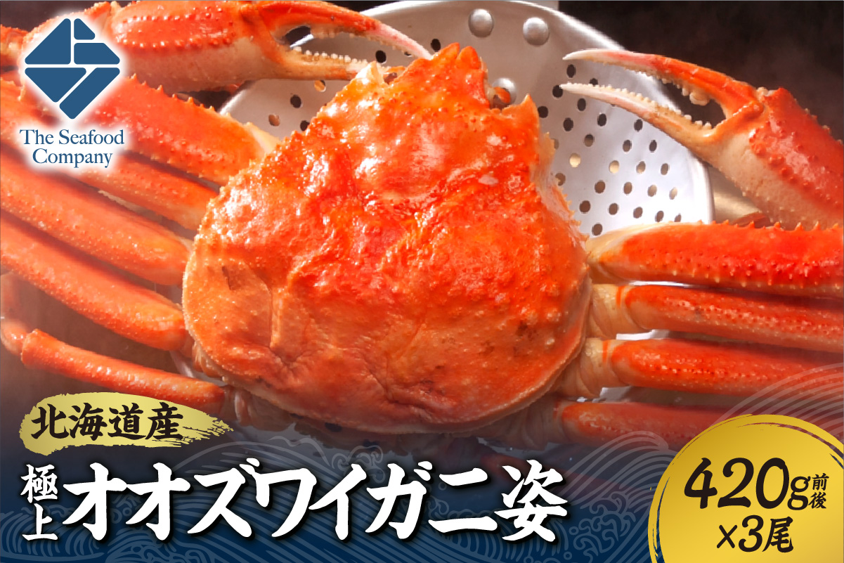 北海道産極上オオズワイガニ姿　420g前後×3尾セット