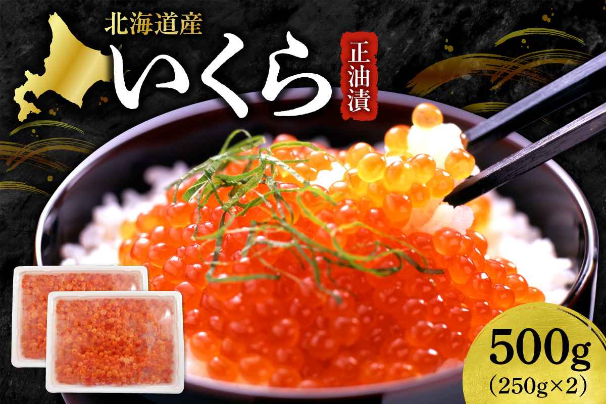 いくら正油漬　250g×2｜イクラ 魚卵 醤油漬け 北海道 札幌市