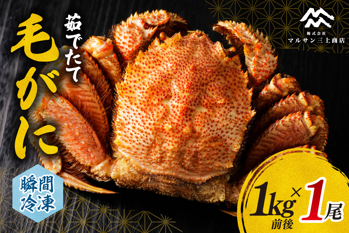 茹でたて毛がに(瞬間冷凍）1kg前後｜北海道産 毛ガニ 茹でたて 北海道 札幌市