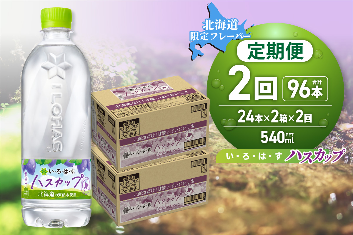 【２ヶ月定期便】い・ろ・は・す ハスカップ　540mlPET×48本｜コカ・コーラ 飲料 ドリンク 飲み物 水 北海道 札幌市