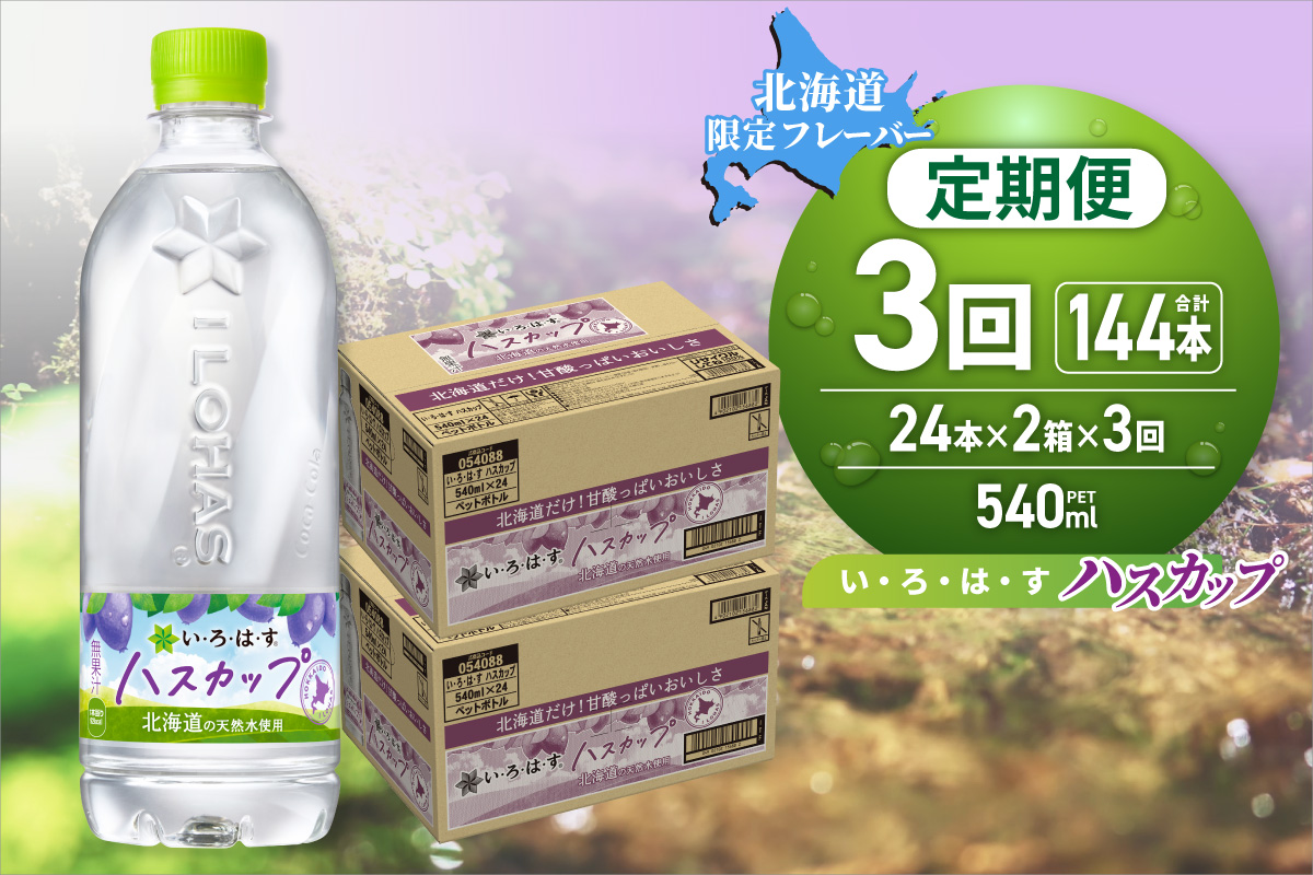 【３ヶ月定期便】い・ろ・は・す ハスカップ　540mlPET×48本｜コカ・コーラ 飲料 ドリンク 飲み物 水 北海道 札幌市