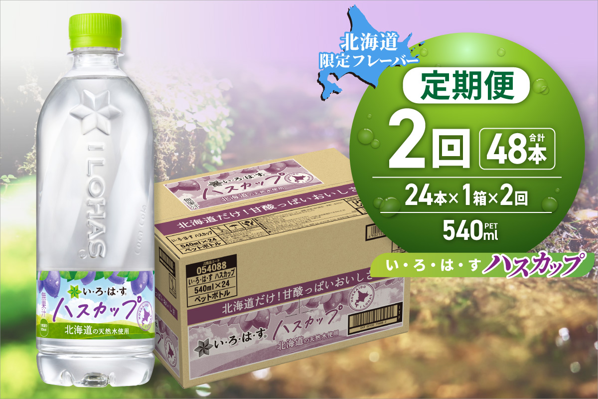 【２ヶ月定期便】い・ろ・は・す ハスカップ　540mlPET×24本｜コカ・コーラ 飲料 ドリンク 飲み物 水 北海道 札幌市