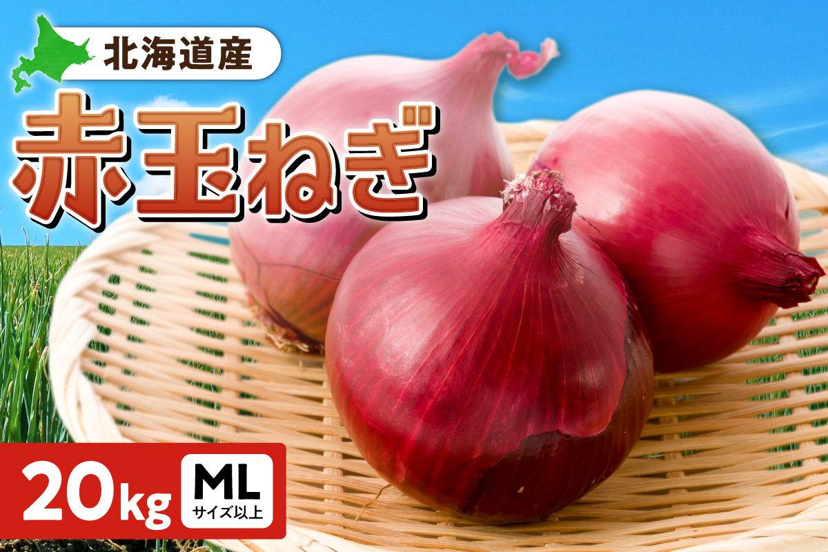 赤玉ねぎ 北海道産 20kg MLサイズ以上 | たまねぎ 野菜 北海道 札幌市