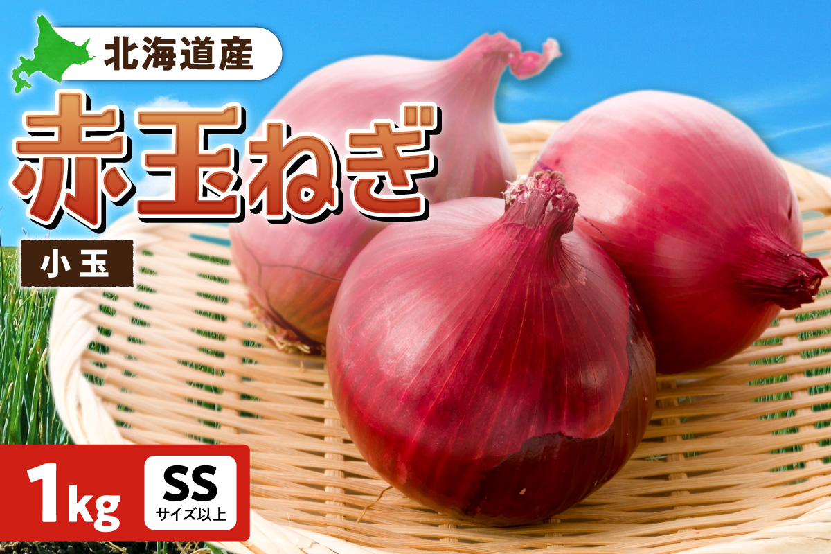 赤玉ねぎ 北海道産 小玉 1kg SSサイズ以上 | たまねぎ 野菜 北海道 札幌市