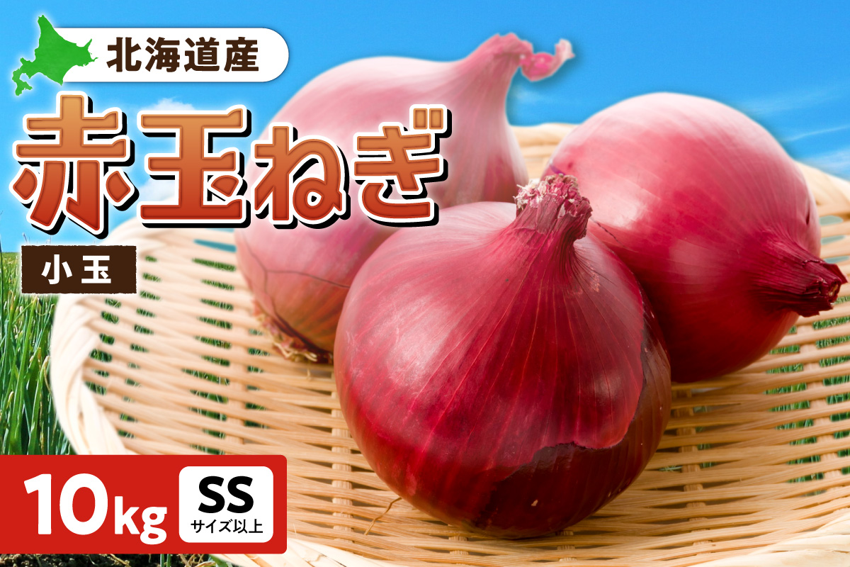 赤玉ねぎ 北海道産 小玉 10kg SSサイズ以上 | たまねぎ 野菜 北海道 札幌市