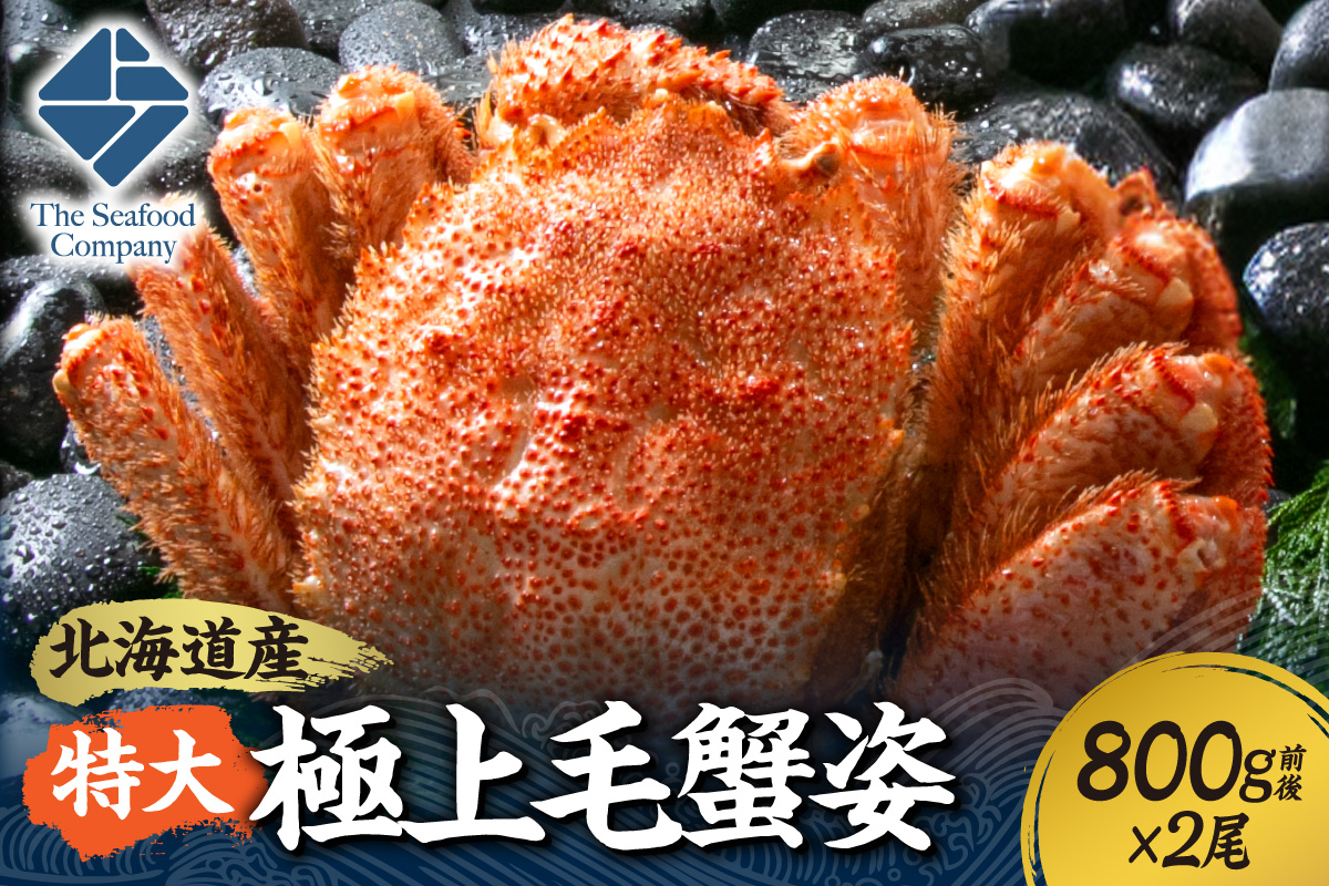 特大極上毛蟹姿　800g前後×2尾セット