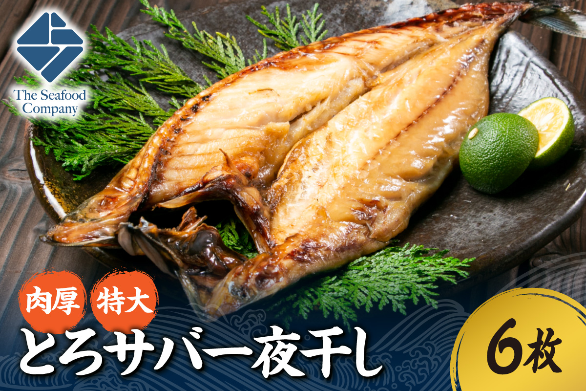 肉厚！特大とろサバ一夜干し　6枚セット