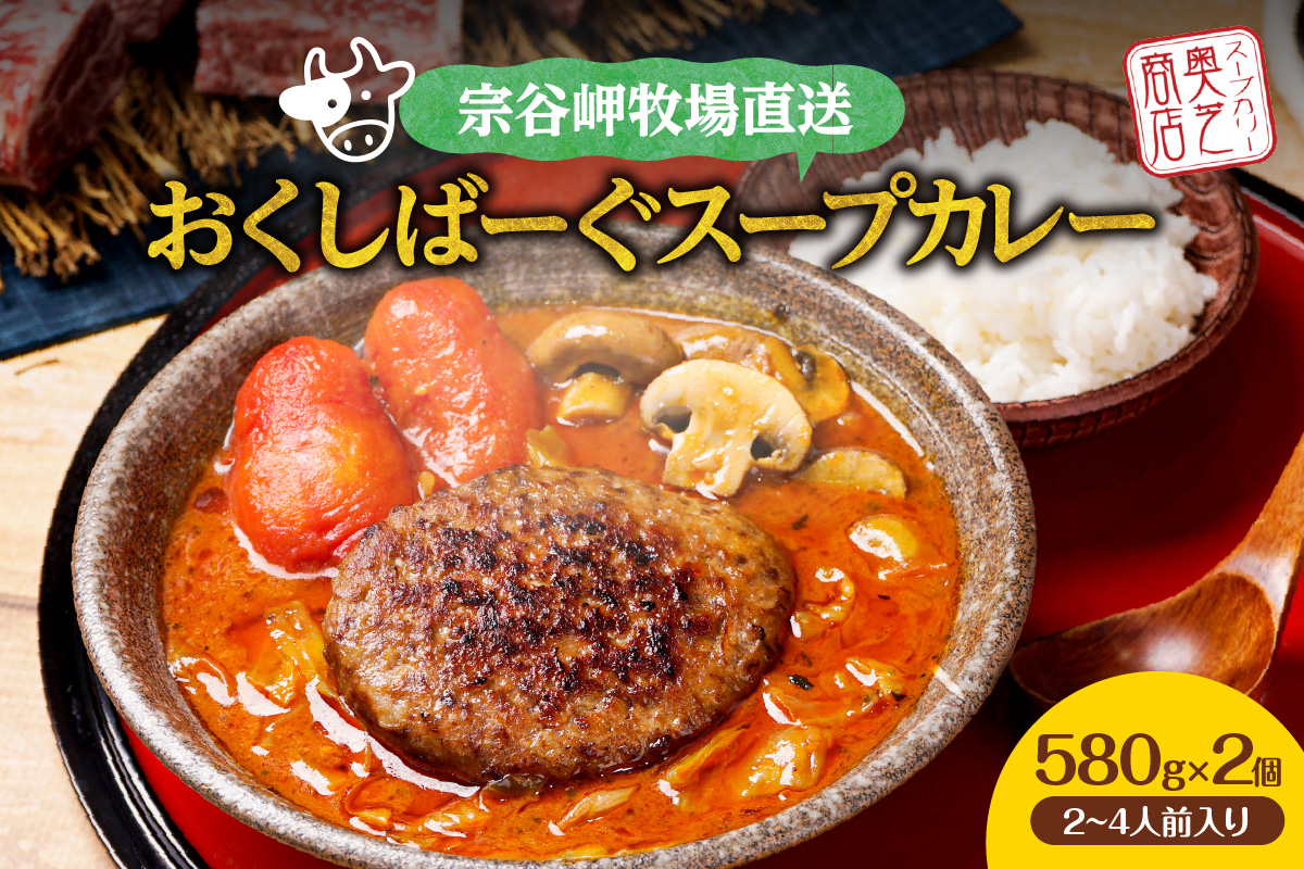 店舗人気No1!奥芝商店 宗谷岬牧場直送おくしばーぐスープカレー[580g×2個/2~4人前入り]