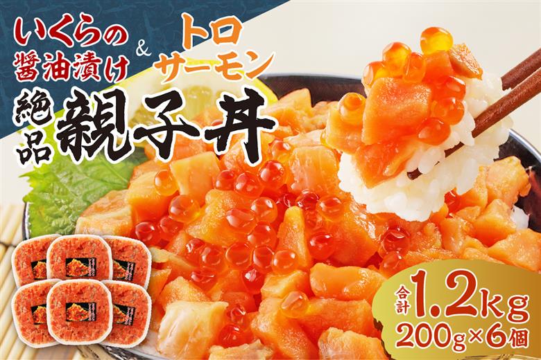 北海道産いくら醤油漬け（鮭卵）とトロサーモンの絶品！親子丼セット1.2kg（200ｇ×６個）
