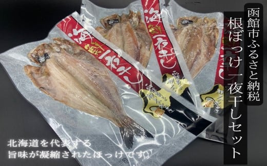 根ほっけ一夜干しセット ほっけ ホッケ 北海道産 脂のり抜群 干物 魚 魚介 函館 はこだて_HD098-005