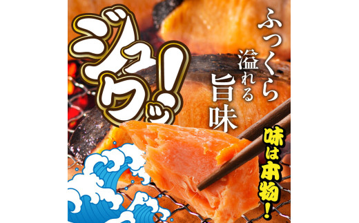 紅鮭切身 訳あり品　バラ詰め2.0kg_HD231-015