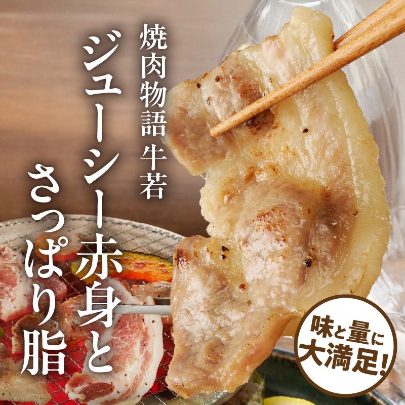 函館市 焼肉物語牛若 味付け白老豚（塩だれ）625g_HD048-014