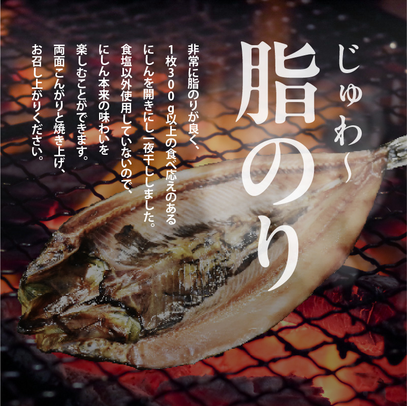 開きにしん 5枚セット_HD087-020