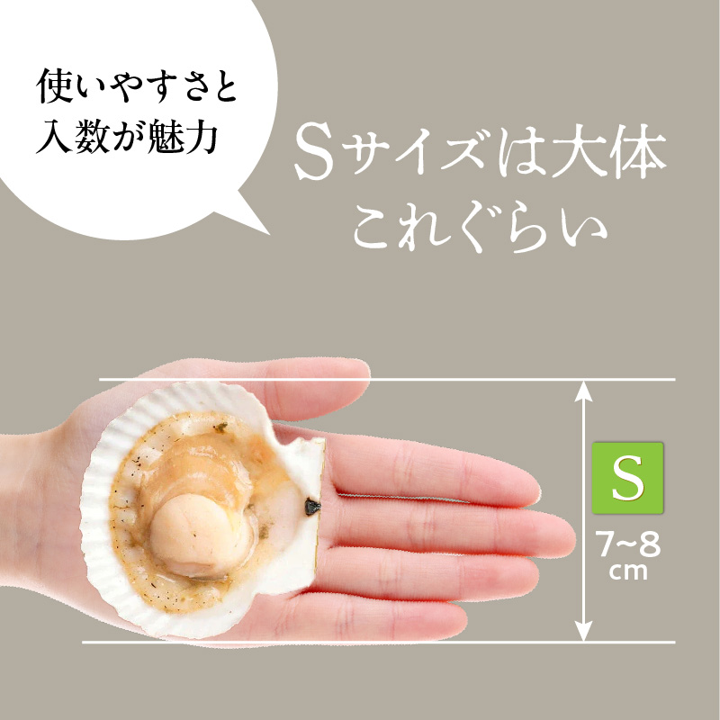 北海道噴火湾産ホタテ片貝 (Sサイズ／15枚×3袋)【計45枚】_HD117-036 【S】15枚×3袋（計45枚）