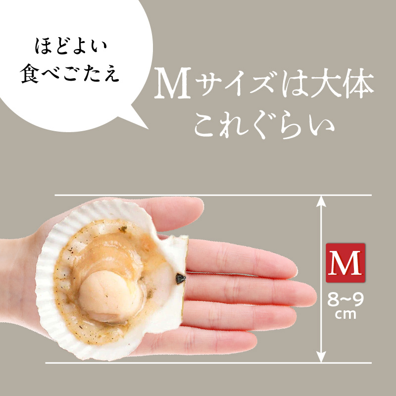 北海道噴火湾産ホタテ片貝 (Mサイズ／10枚×3袋)【計30枚】_HD117-039 【M】10枚×3袋（計30枚）