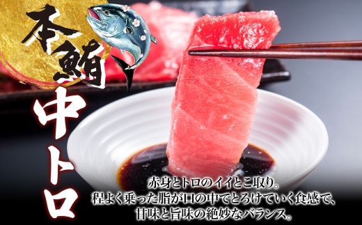 松前産 本マグロ 中トロ 約160g_HD144-005
