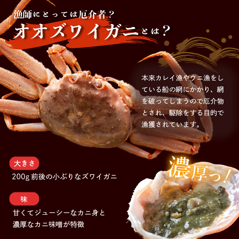 【2026年2月発送　先行予約】【訳あり】浜茹でオオズワイガニ 2kg 詰めセット 北海道噴火湾産 _HD206-001