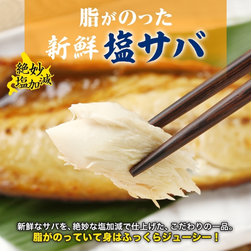 塩サバフィレ 約750g（約150g×5枚）_HD214-005 約750g（約150g×5枚）
