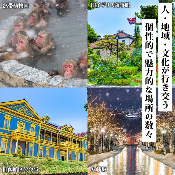 【北海道ツアー】北海道 函館市 旅行クーポン 60,000円分 温泉 観光 旅行 ホテル 旅館 老舗 高級 トラベル チケット 家族 カップル 宿泊 予約 おすすめ 父の日 母の日 旅行券 宿泊券_HD233-001