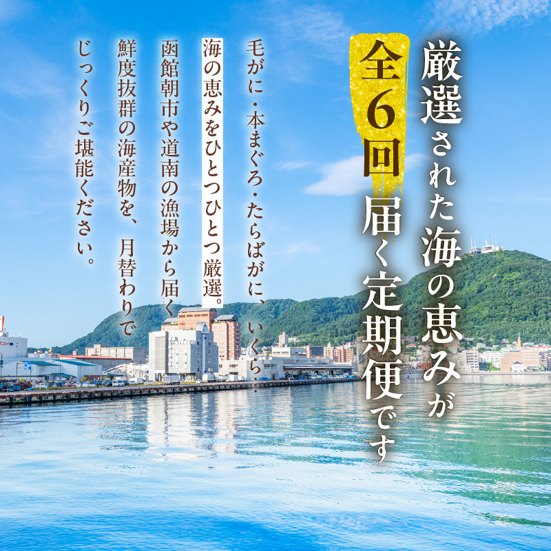 はこだて海の幸定期便 50万円（全6回）_HS001-006