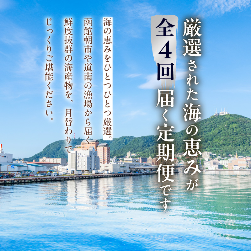 はこだて海の幸定期便 25万円（全4回）_HS001-013