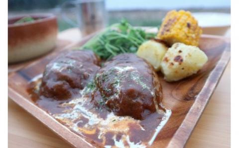 やな商店 デミグラスハンバーグ５個セット_HD085-023