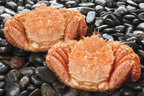 北海道産毛がに甲羅盛プレミアム（2個入）_HD098-003