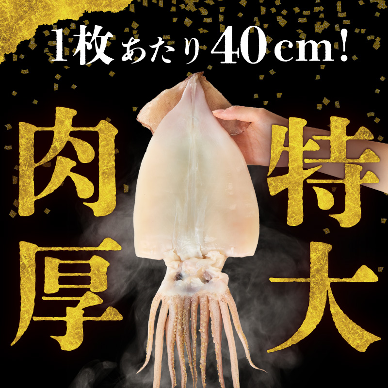 函館産 特大真いか 一夜干し 1枚_HD010-023