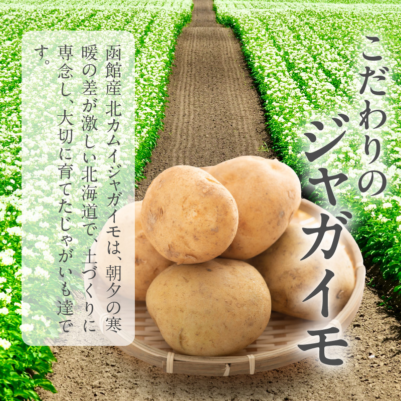 函館産北カムイジャガイモ「感動の和風ビシソワーズ」150g×5袋入_HD041-001