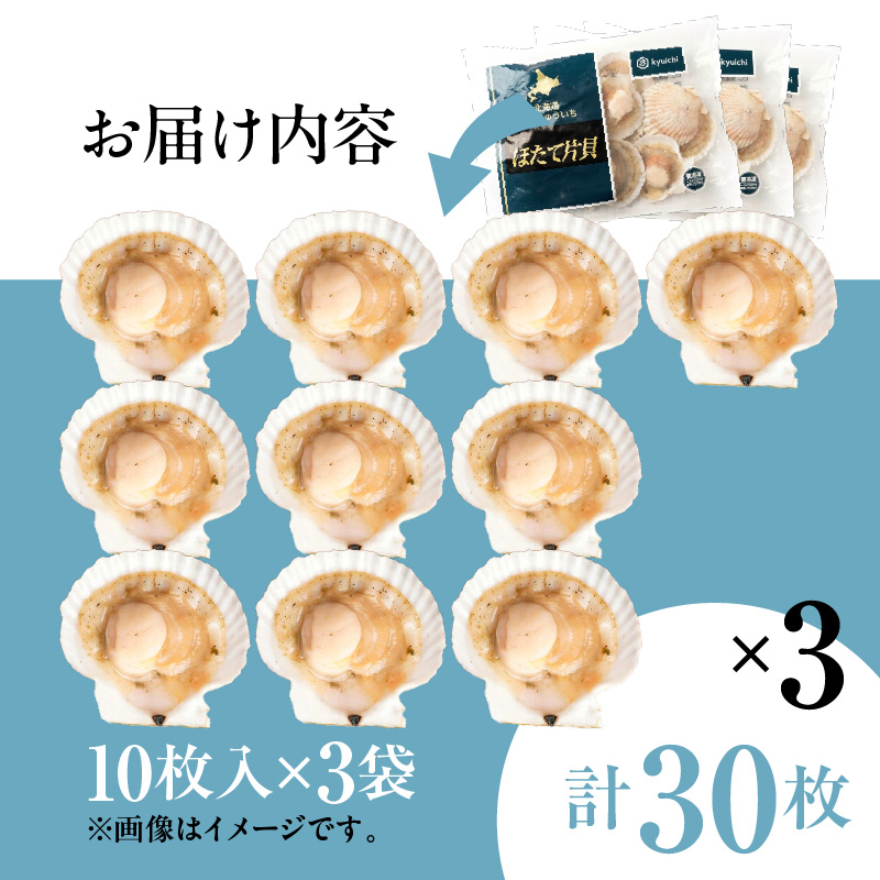 北海道噴火湾産ホタテ片貝 (Lサイズ／10枚×3袋)【計30枚】_HD117-042 【L】10枚×3袋（計30枚）