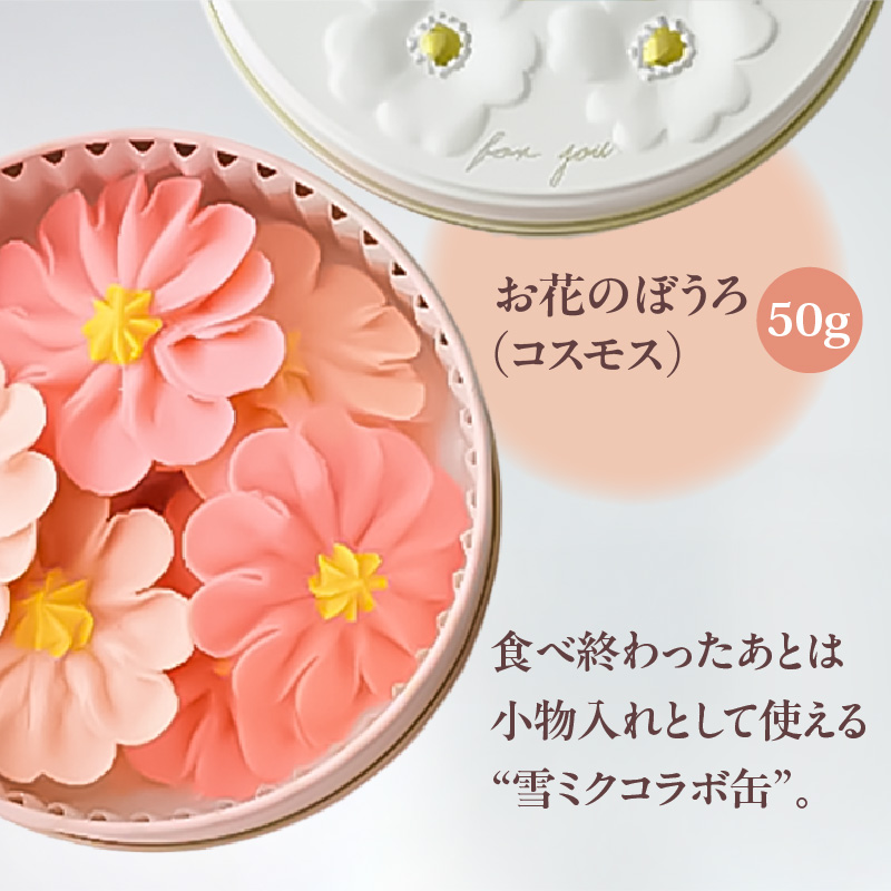 【雪ミクパッケージ】お花のぼうろ2缶セット_HD123-007