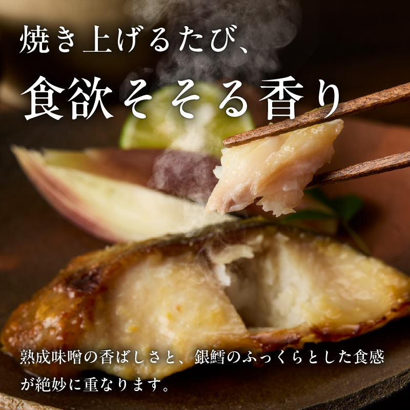 銀鱈みそ漬 10切（5切×2パック）_HD139-018