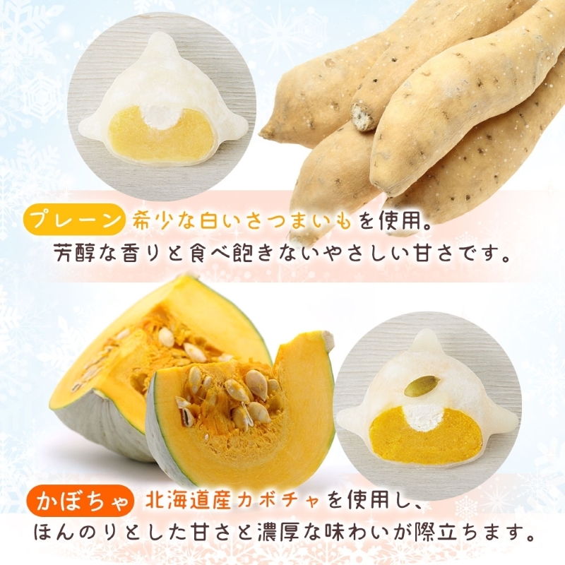 はこだて 雪んこ 2種（プレーン かぼちゃ 各1箱・無地熨斗）_HD142-023 熨斗あり