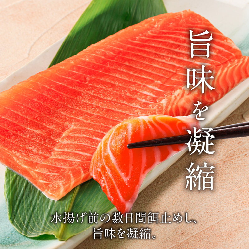 【2026年6月発送　先行予約】函館サーモン 750g プレミアム 養殖 サーモン 新鮮 鮮度抜群 脂乗り 旨味 凝縮 水揚げ前 餌止め 活締め 漁師 こだわり 魚 海鮮 海の幸 冷凍 お取り寄せグルメ お取り寄せ 国産 北海道 函館市 送料無料_HD231-013 750g