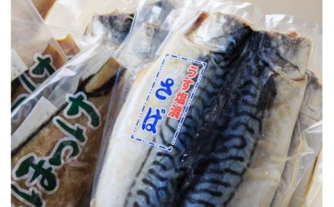 イチヨ水産 汐ホッケ・汐サバセット_HD010-009