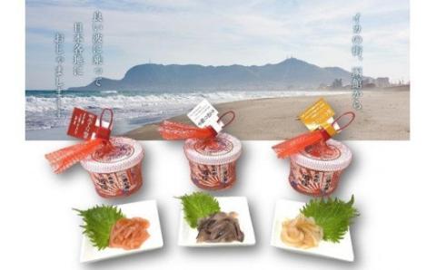 函館 波乗りイカさん4本＆波座塩辛3個セット_HD084-005